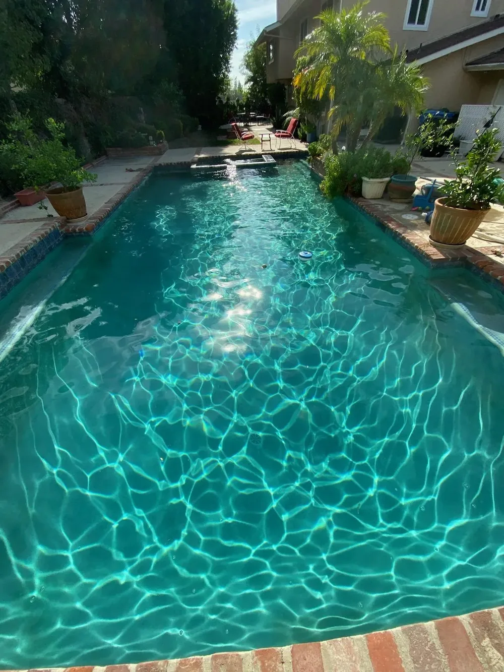 Freeform pool with tanning ledge maintained by Endless Blue Pools